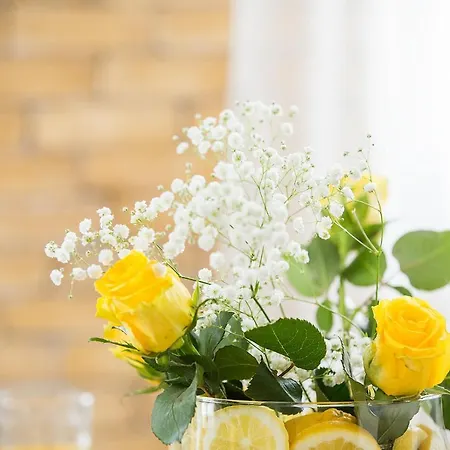 Deluxe Town Hall Square Flat In Historical Center 3 Apartment *